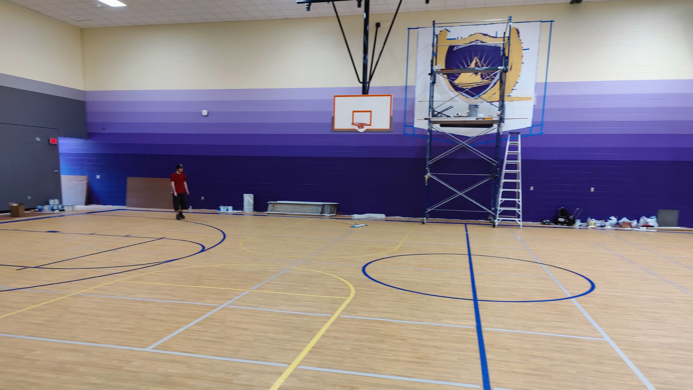 Volleyball Game Line Painting